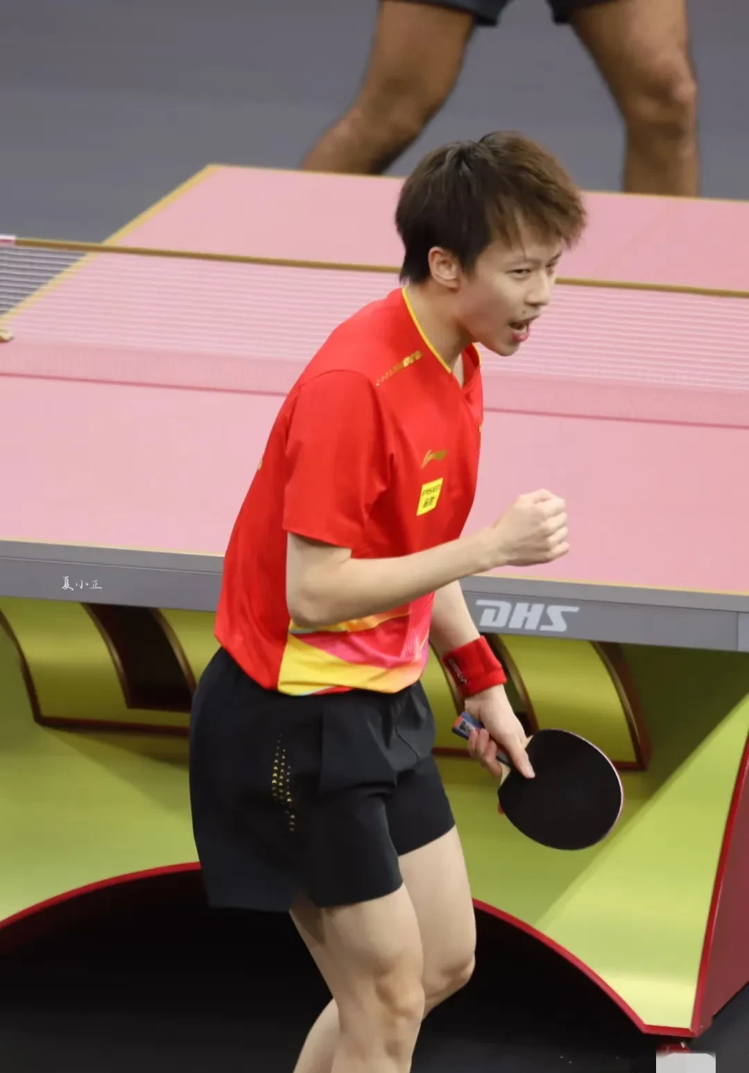 法国队力克中国队，林高远统治全场的简单介绍