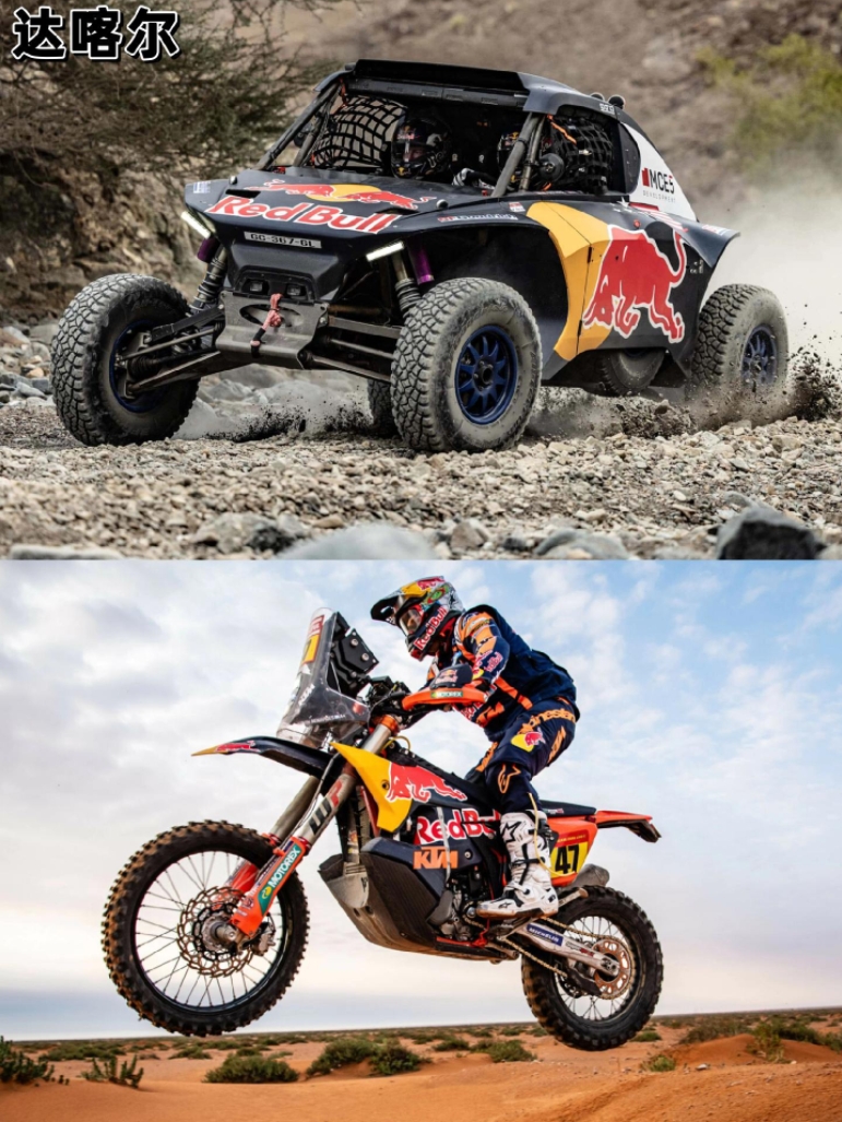 红牛车队碾压索伯车队，诺里斯状态火热的简单介绍