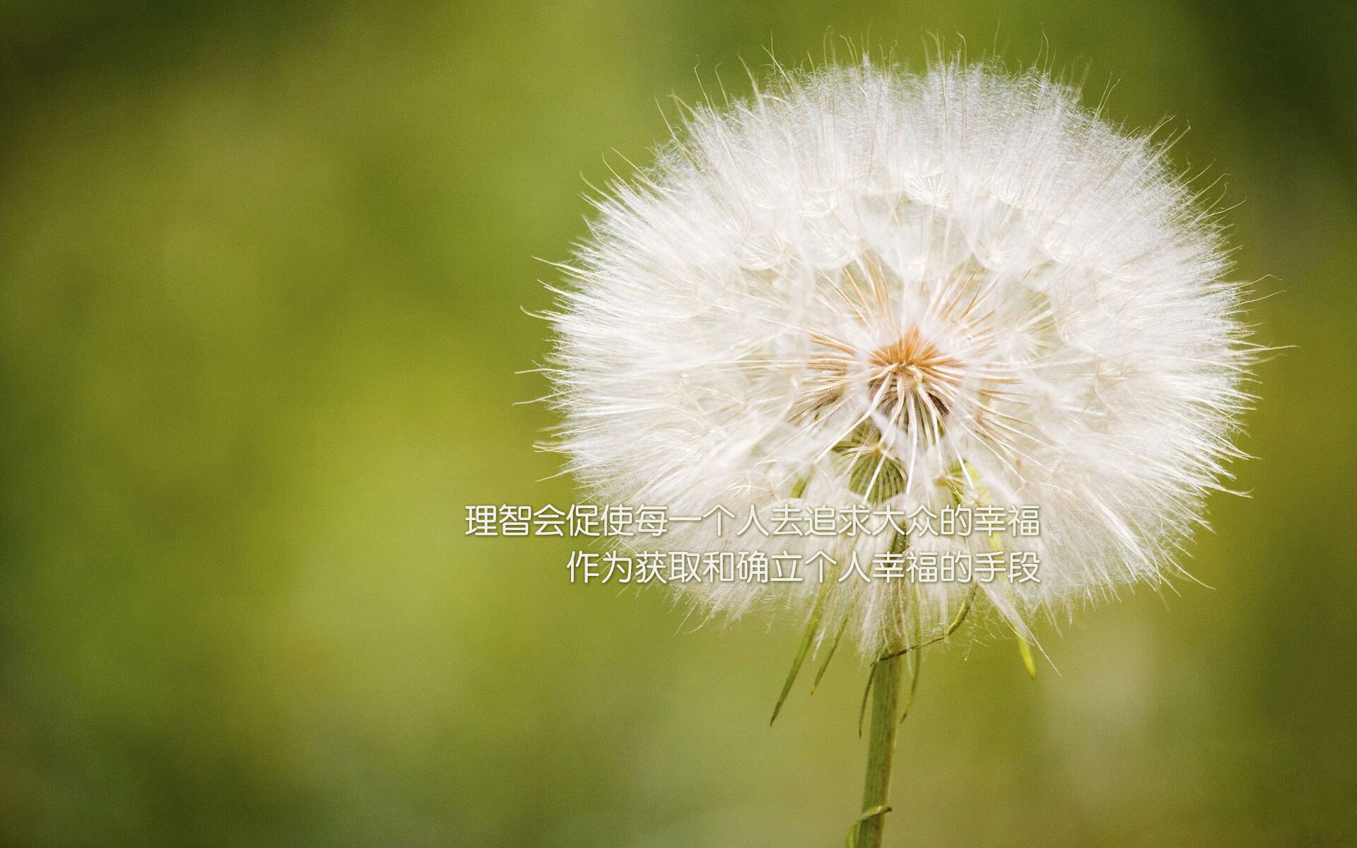 欧冠半决赛的魔法时刻,当哈利伯顿点燃全场,我们看到了篮球的另一种可能