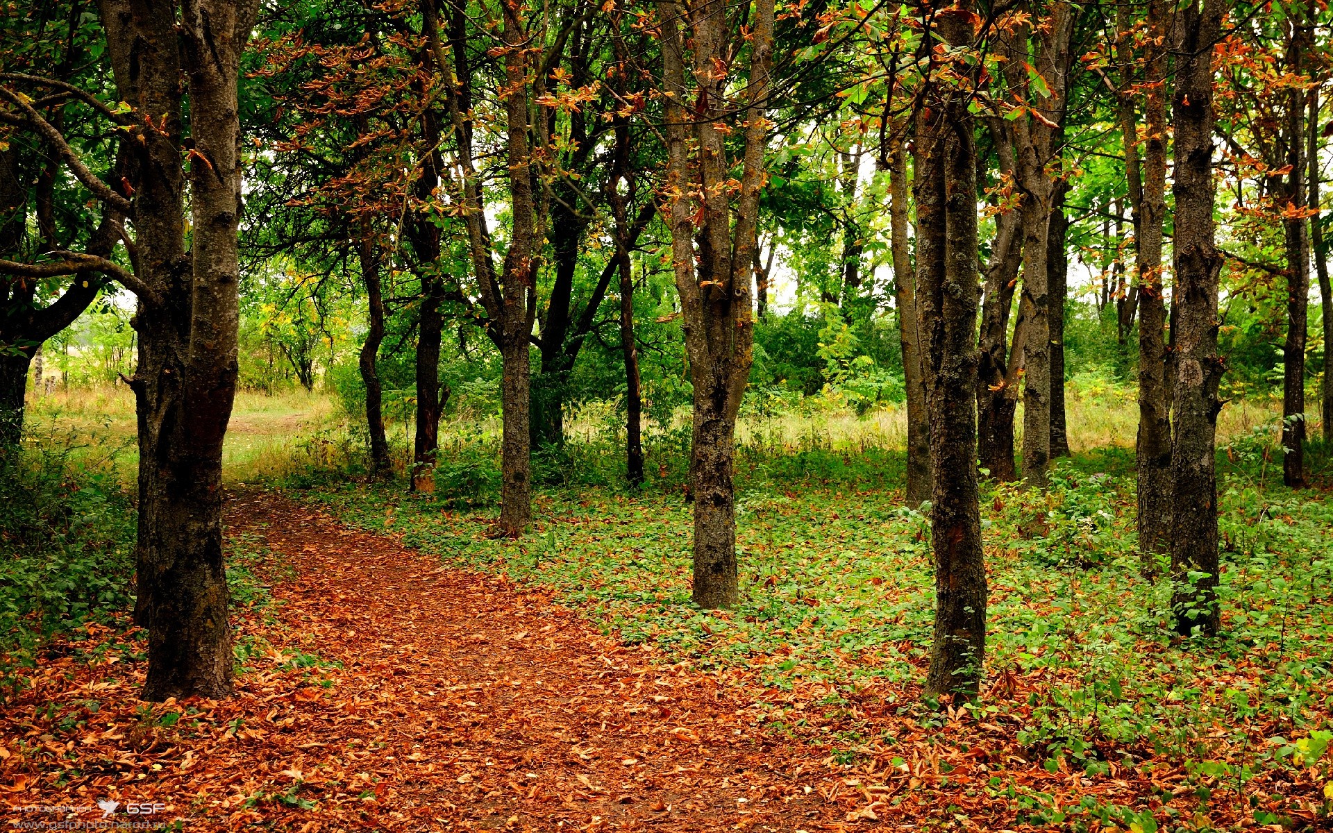 从硬木到街道,当76人用团队坚韧淘汰骑士,武切维奇在F1赛道上演单核接管的跨维度对话